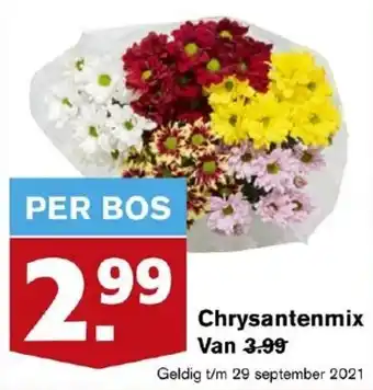 Hoogvliet Chrysantenmix aanbieding