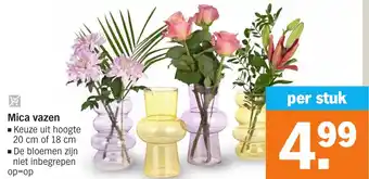 Albert Heijn Mica vazen 20 cm of 18 cm aanbieding