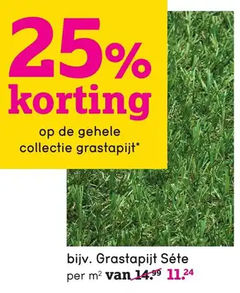 Leen Bakker Grastapijt Sete aanbieding