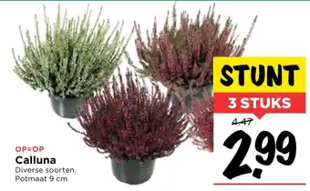 Vomar Voordeelmarkt Calluna 3st aanbieding