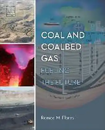 Bol.com Coal and Coalbed Gas aanbieding