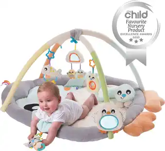Bol.com Playgro Snuggle Me Penguin Tummy Time Gym - Babygym Met Buikligkussen - speelkleed - speeltapijt aanbieding