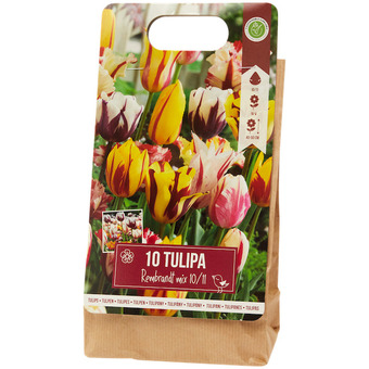Action Tulpenbollen aanbieding