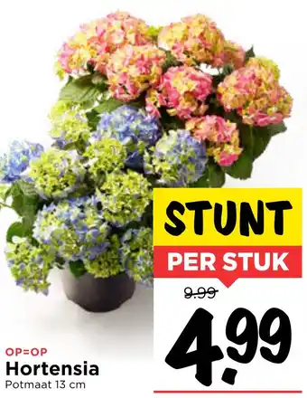 Vomar Voordeelmarkt Hortensia aanbieding