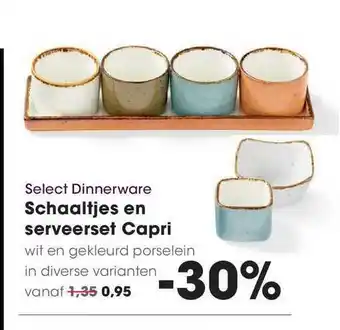 HANOS Schaaltjes En Serveerset Capri aanbieding