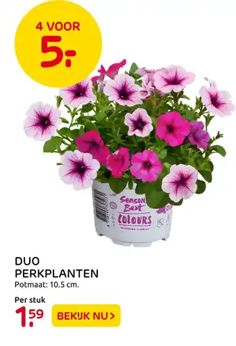 Praxis Duo perkplanten 10.5 cm aanbieding