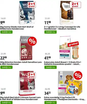 Zooplus 2 + 1 gratis! 3 x 1,5 kg Concept for Life Hondenvoer - Medium Sensitive aanbieding