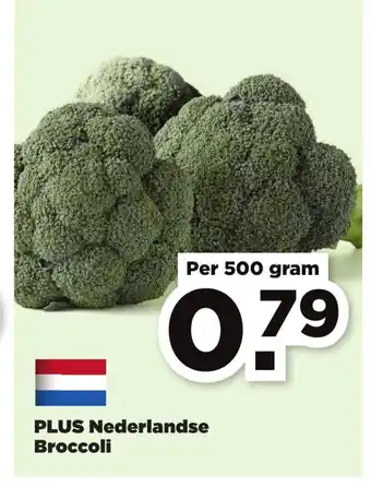 PLUS Nederlandse Broccoli 500 gram aanbieding