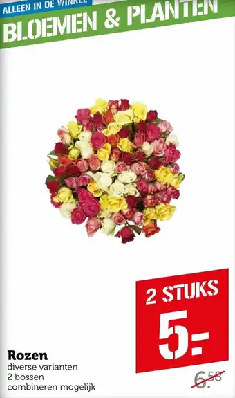 Coop Rozen aanbieding