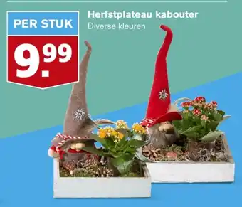 Hoogvliet Herfstplateau kabouter aanbieding