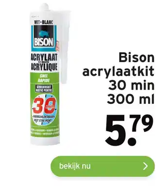 GAMMA Bison acrylaatkit 30 min 300 ml aanbieding