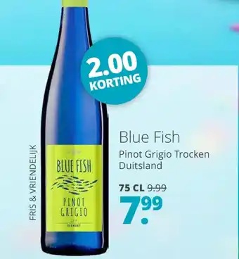 Mitra Blue Fish aanbieding