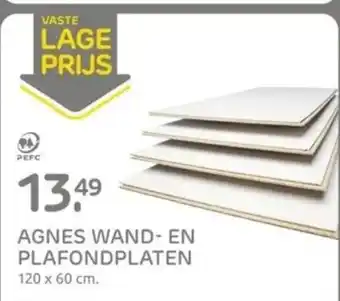 Praxis AGNES WAND- EN PLAFONDPLATEN 120 x 60 cm aanbieding