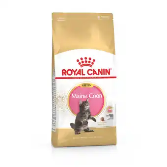 Pets Place Royal Canin Maine Coon Kitten - Kitten-Kattenvoer aanbieding