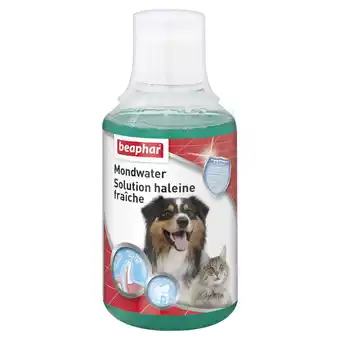 Pets Place Beaphar Mondwater Hond/Kat - Gebitsverzorging - 250 ml aanbieding