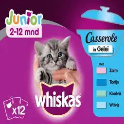 Pets Place Whiskas Casserole Junior - Kattenvoer - Vis Gelei 12x85 g aanbieding