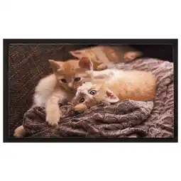 Pets Place Hamat Deurmat Image Cats - Deurmat - 40x60 cm Multi-Color aanbieding