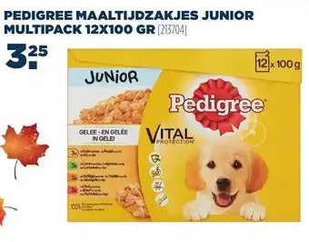 Van der Meer Pedigree Maaltijdzakjes Junior multipack 12*100g aanbieding