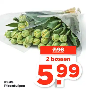 PLUS PLUS Pioentulpen aanbieding