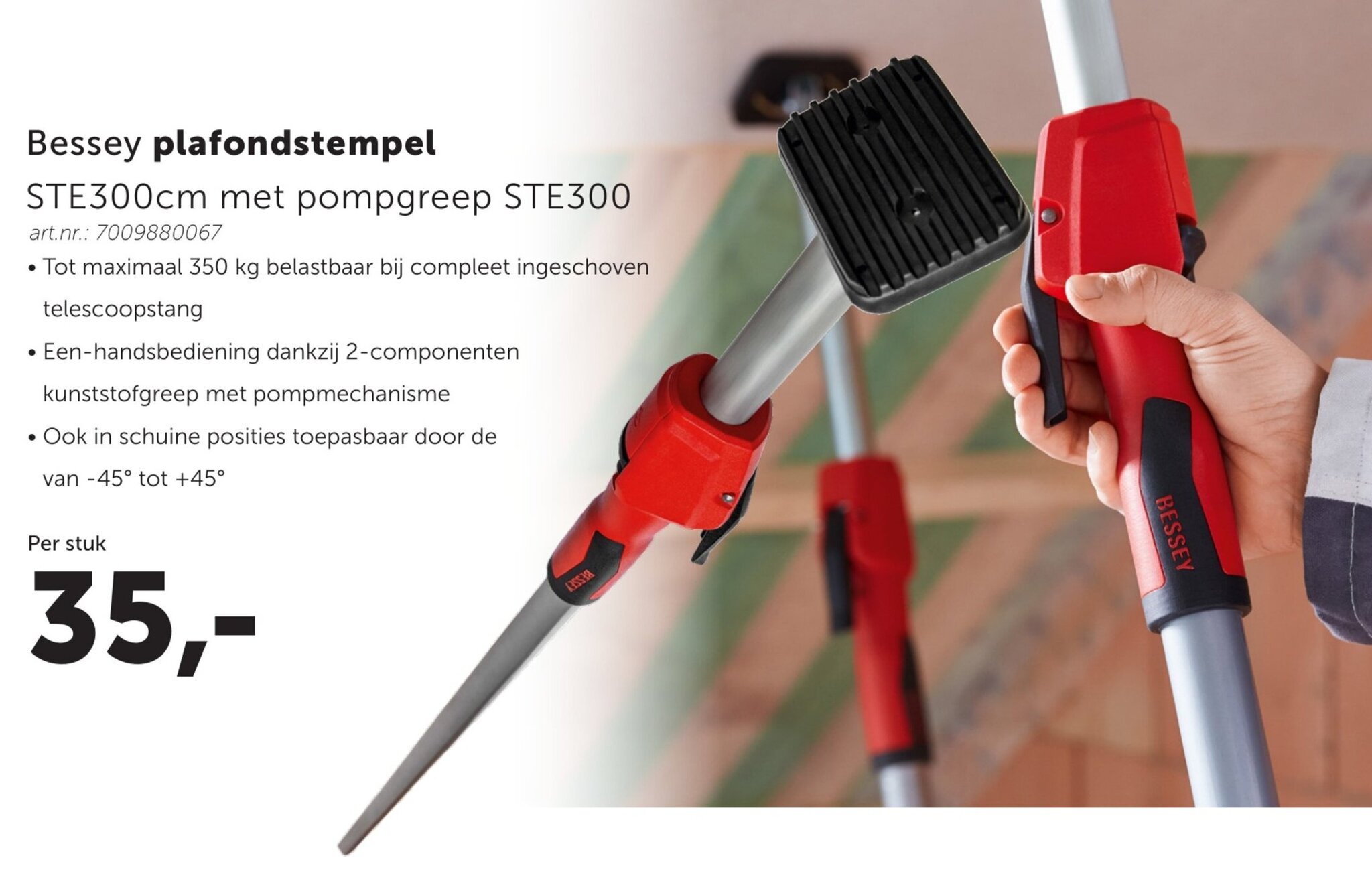 Bessey Ste-Bag Combitas voor daksteunen