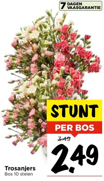 Vomar Voordeelmarkt Trosanjers aanbieding