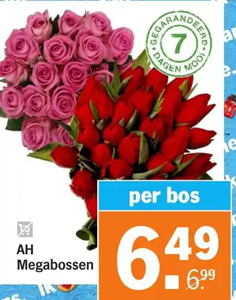 Albert Heijn Megabossen per bos aanbieding