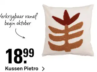 Karwei Kussen Pietro aanbieding