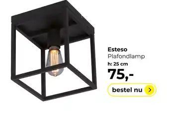 Lampidee Esteso - Plafondlamp stalen frame 1 lichts zwart aanbieding