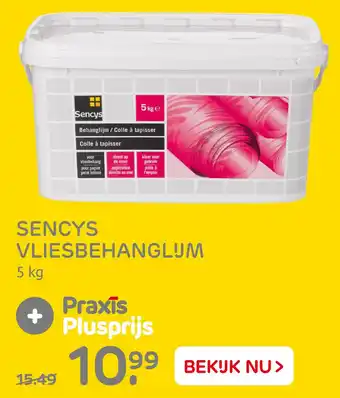 Praxis Sencys Vliesbehanglijm aanbieding