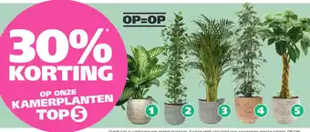 Ranzijn 30% KORTING OP ONZE KAMERPLANTEN TOP6 aanbieding