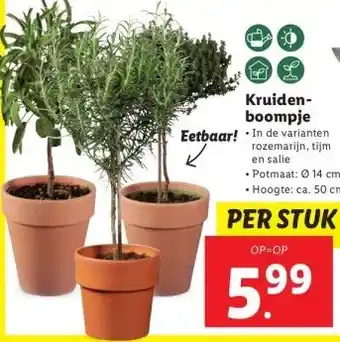 Lidl Kruiden boompje aanbieding