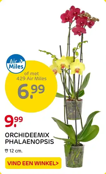 Praxis ORCHIDEEMIX PHALAENOPSIS aanbieding