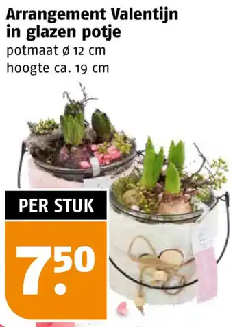 Poiesz Arrangement Valentijn in glazen potje aanbieding