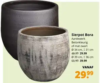 GroenRijk Sierpot Bora 34cm aanbieding