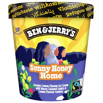 Dekamarkt Ben & Jerry's Sunny honey home aanbieding