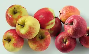 Sligro Elstar en Jonagold appels per kilo aanbieding