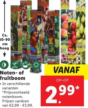 Lidl Noten- of fruitboom aanbieding