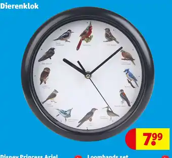 Kruidvat Dierenklok aanbieding