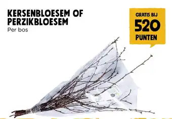 Jumbo KERSENBLOESEM OF PERZIKBLOESEM Per bos aanbieding