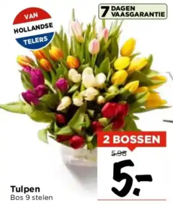 Vomar Voordeelmarkt Tulpen aanbieding