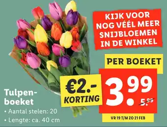 Lidl Tulpenboeket 40cm aanbieding