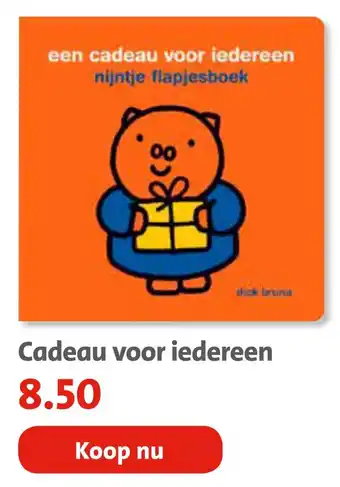 Bruna Cadeau voor iedereen aanbieding