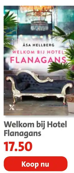 Bruna Welkom bij Hotel Flanagans aanbieding