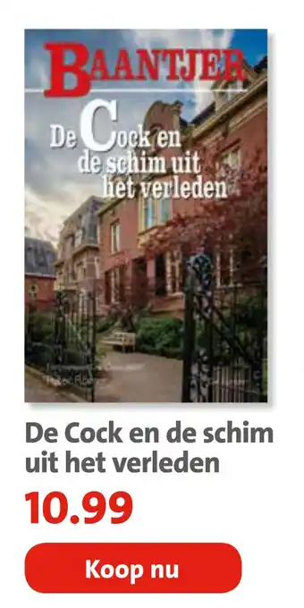 Bruna De Cock en de schim uit het verleden aanbieding