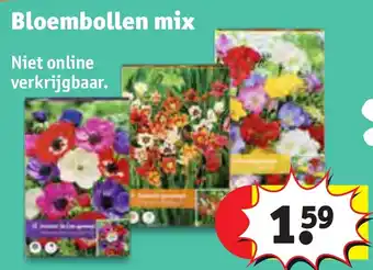 Kruidvat Bloembollen mix aanbieding