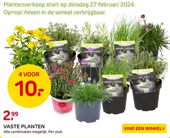 Praxis VASTE PLANTEN aanbieding