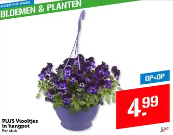 Coop PLUS Viooltjes in hangpot aanbieding