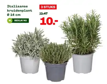 Welkoop Italiaanse kruidenplant 14 cm aanbieding