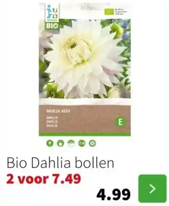 Intratuin Bio Dahlia bollen aanbieding