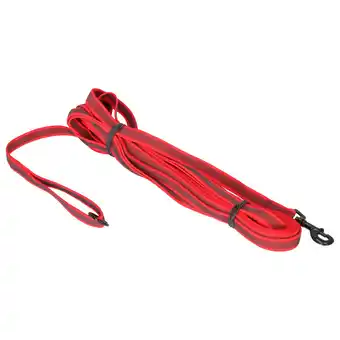 Pets Place Adori Nylon Anti-Sliplijn Met Handvat - Hondenriem - 10mx2.0 cm Rood L aanbieding